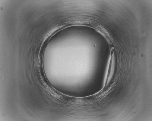 X0000062650787200601040917