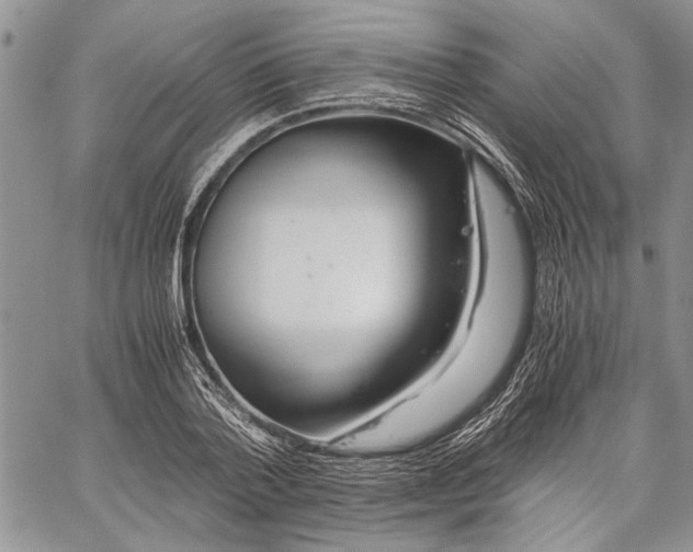 X0000062650788200601040917