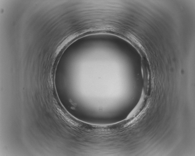 X0000062650789200601040917