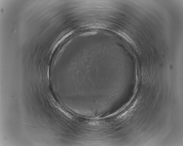 X0000062650790200601040917