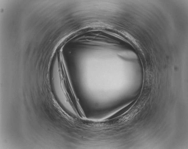 X0000062650791200601040917