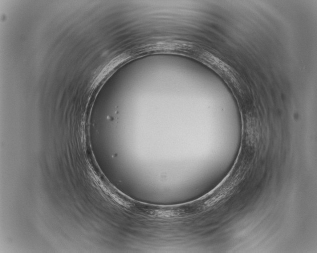 X0000062650794200601040917