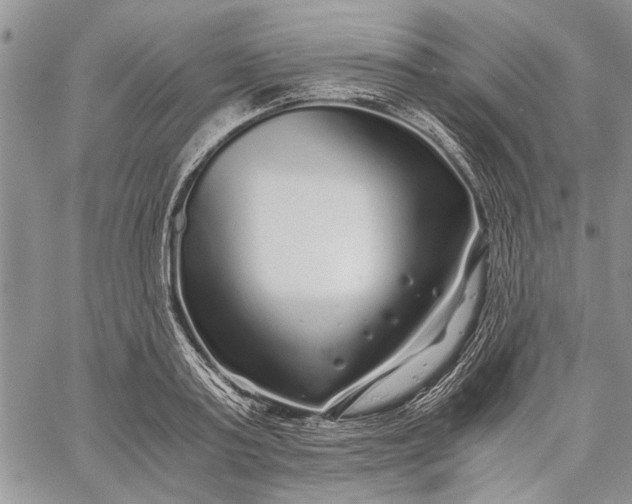 X0000062650795200601040917