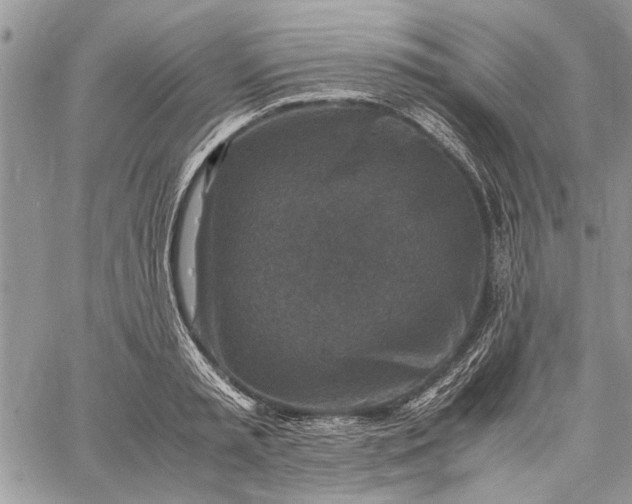 X0000062650797200601040917