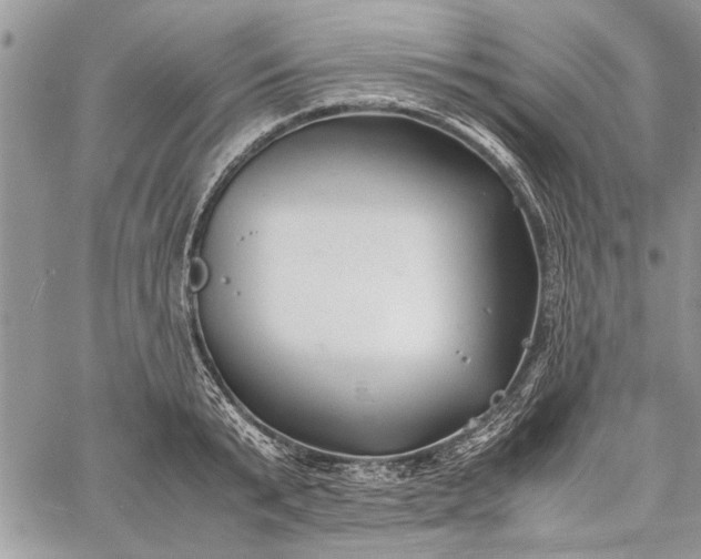 X0000062650799200601040916