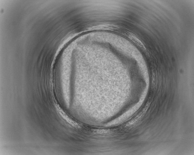 X0000062650800200601040916