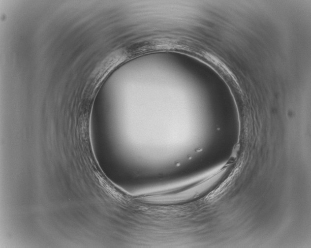 X0000062650801200601040916