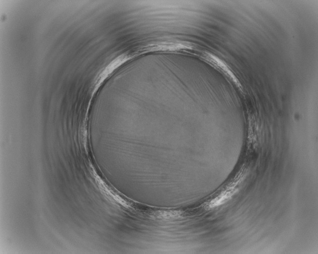 X0000062650802200601040916