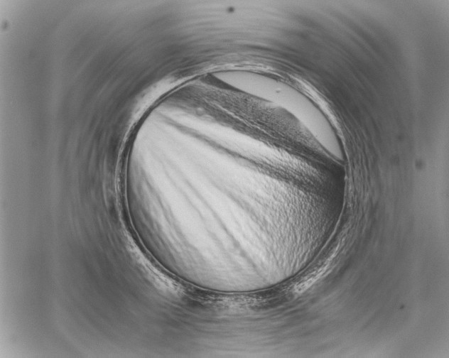 X0000062650803200601040916