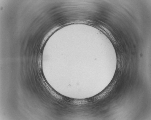 X0000062650804200601040916