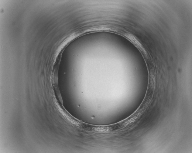 X0000062650805200601040916