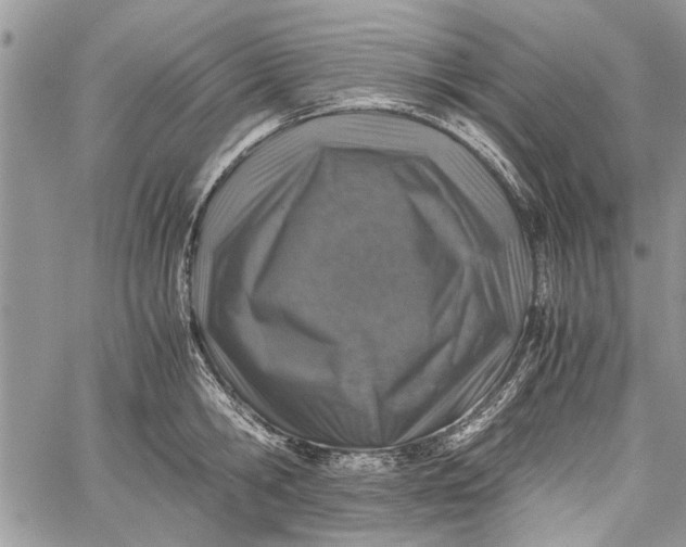 X0000062650806200601040916