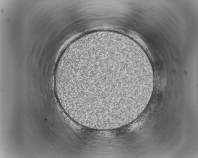 X0000062650807200601040916