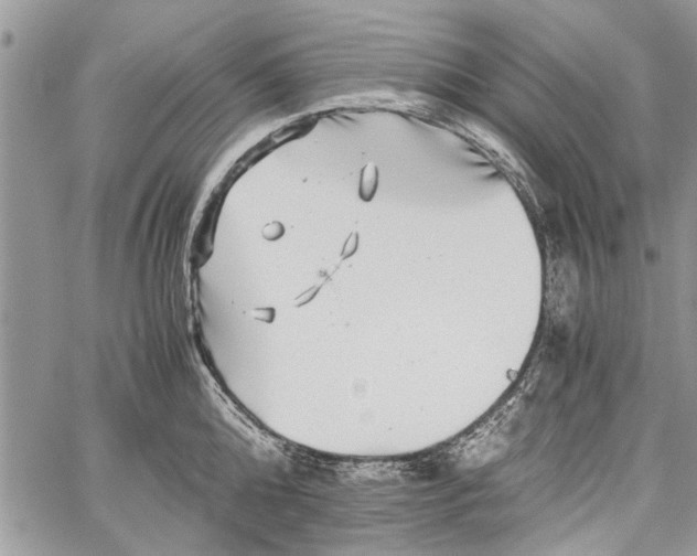 X0000062650808200601040916