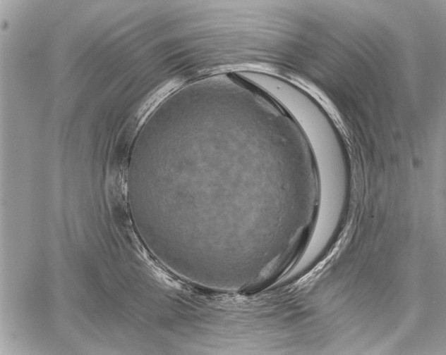 X0000062650809200601040916