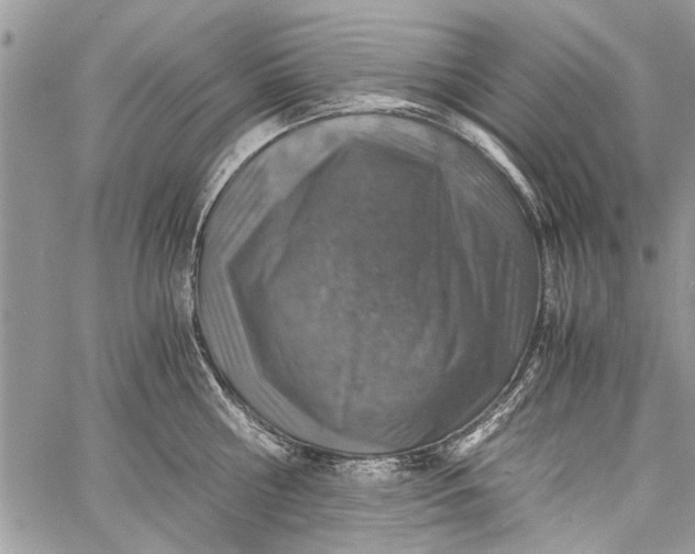 X0000062650810200601040916