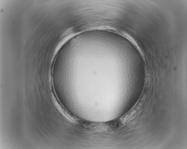 X0000062650811200601040916