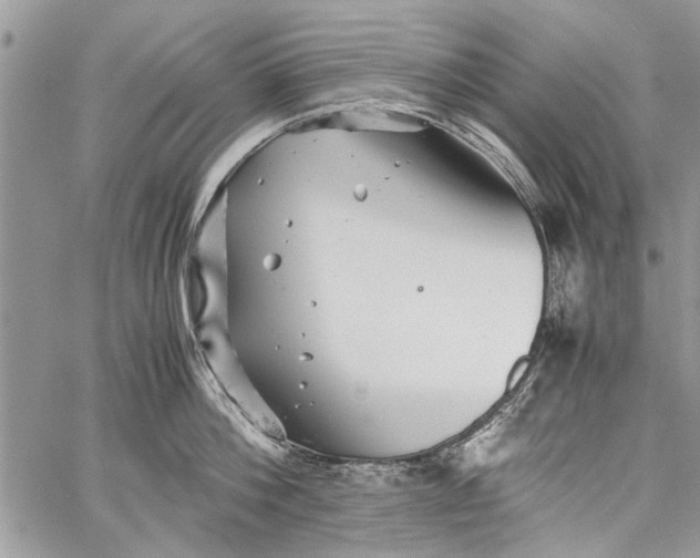 X0000062650812200601040916