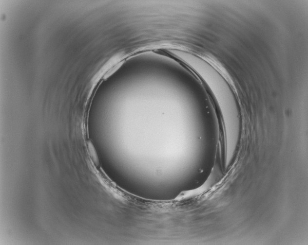 X0000062650813200601040916