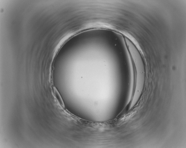 X0000062650815200601040916