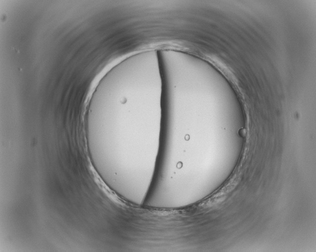 X0000062650816200601040916