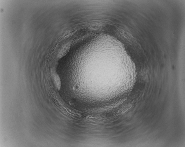 X0000062650817200601040915