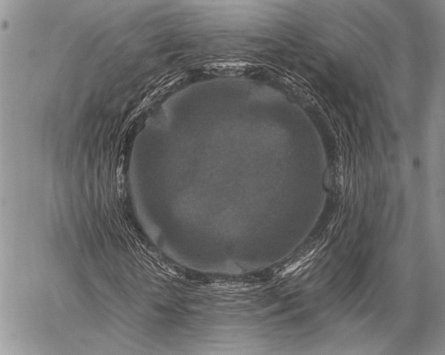 X0000062650818200601040915