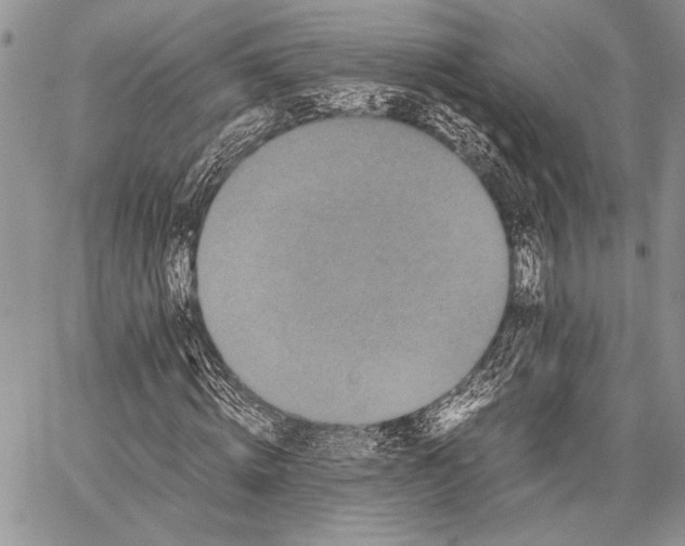 X0000062650820200601040915