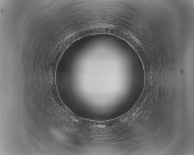 X0000062650821200601040915