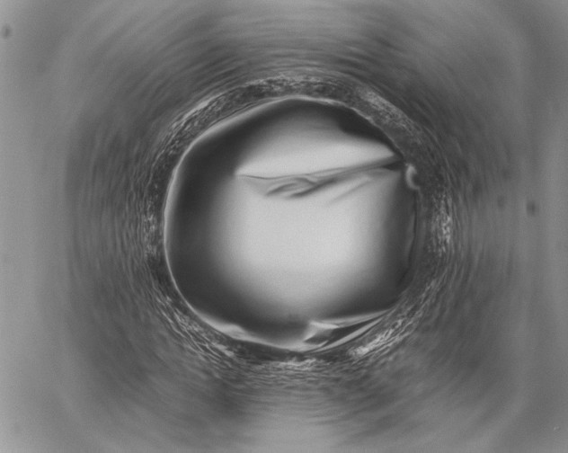 X0000062650822200601040915