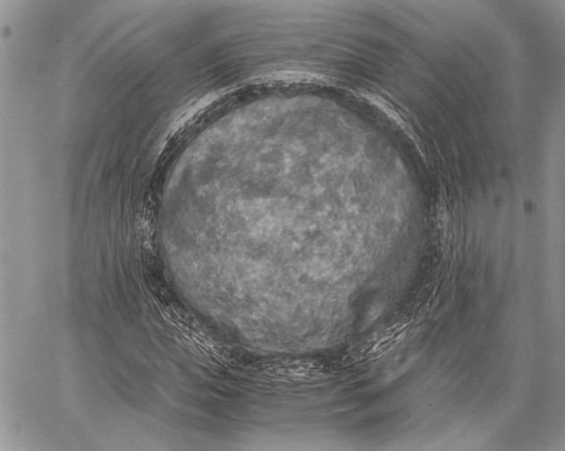 X0000062650823200601040915