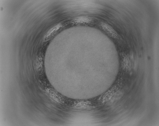 X0000062650824200601040916