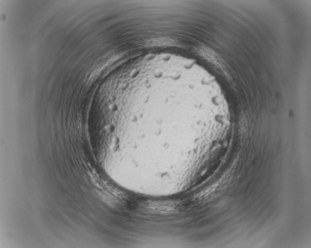 X0000062650825200601040916