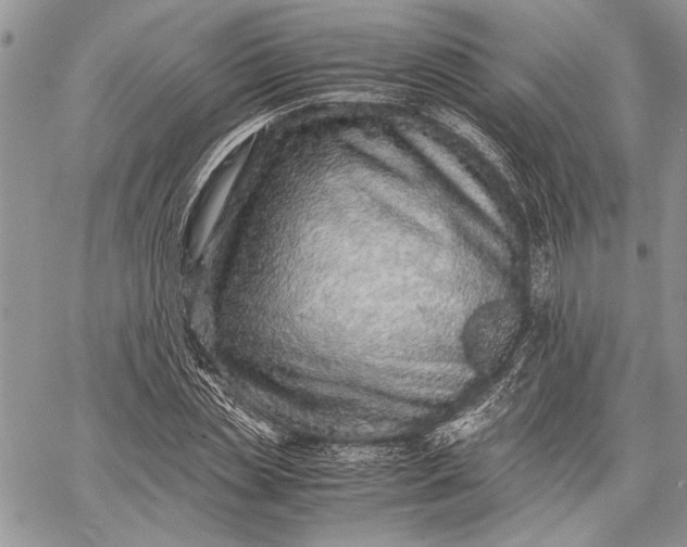 X0000062650829200601040916