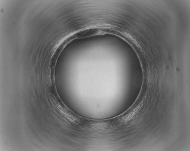 X0000062650830200601040916