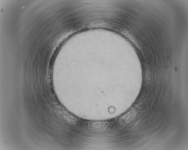 X0000062650832200601040916