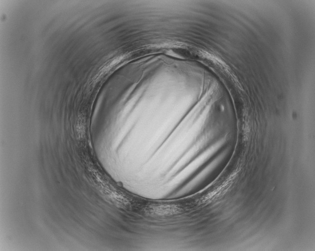 X0000062650833200601040916