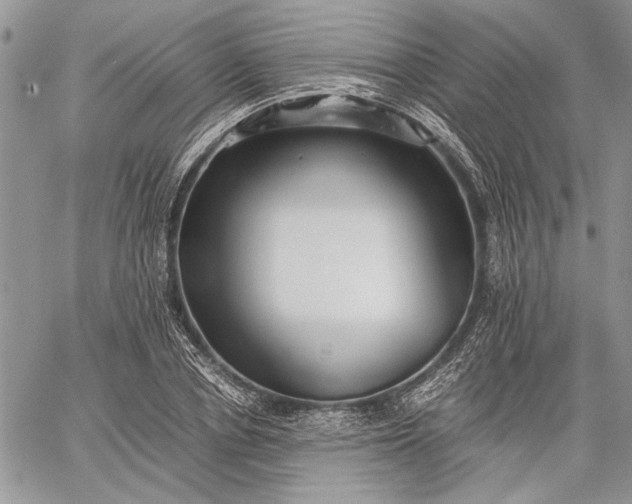 X0000062650834200601040916