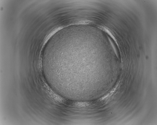 X0000062650835200601040916