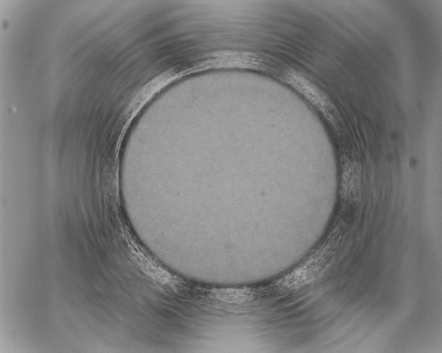 X0000062650836200601040916