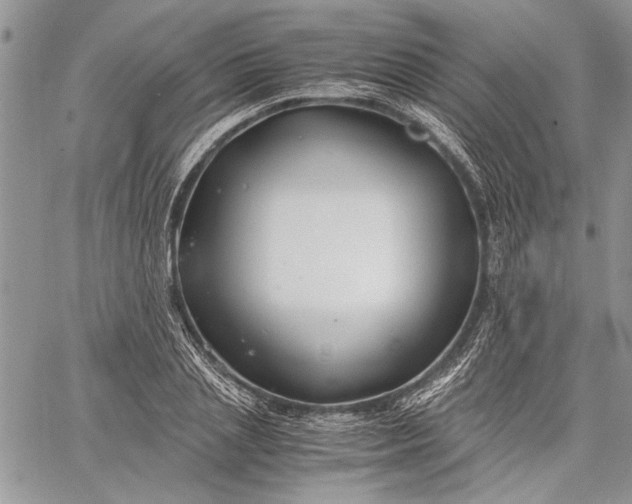 X0000062650837200601040916