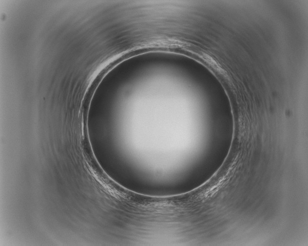 X0000062650838200601040916