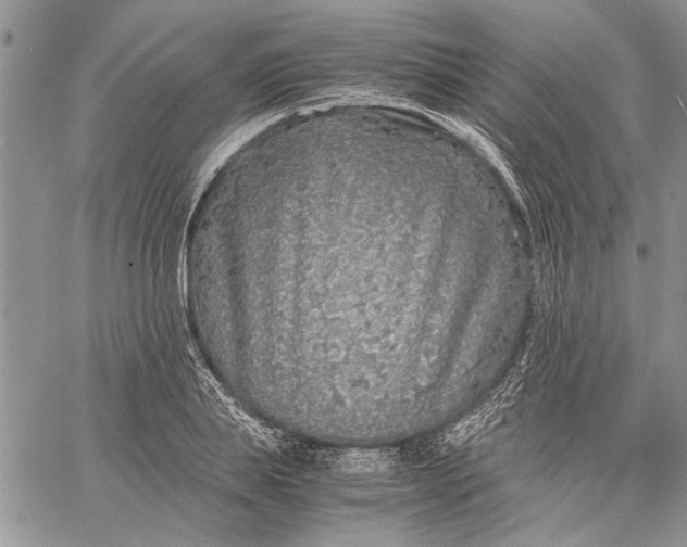 X0000062650839200601040916