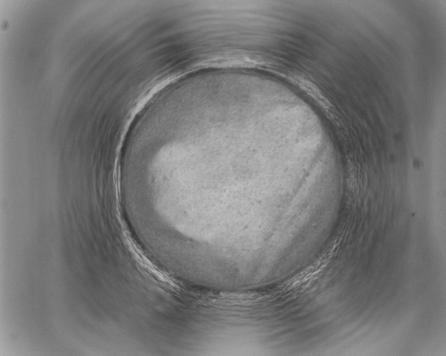 X0000062650840200601040916