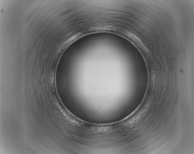 X0000062650841200601040916