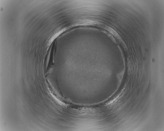 X0000062650842200601040916