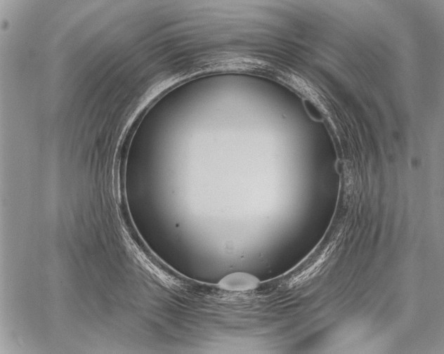 X0000062650843200601040916