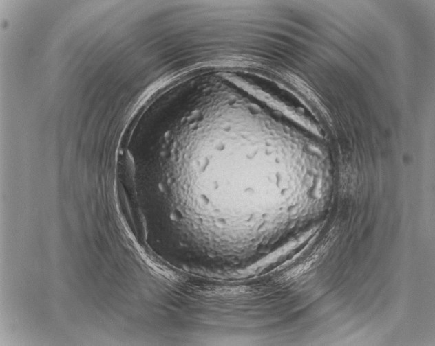 X0000062650845200601040916