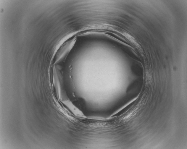 X0000062650846200601040916