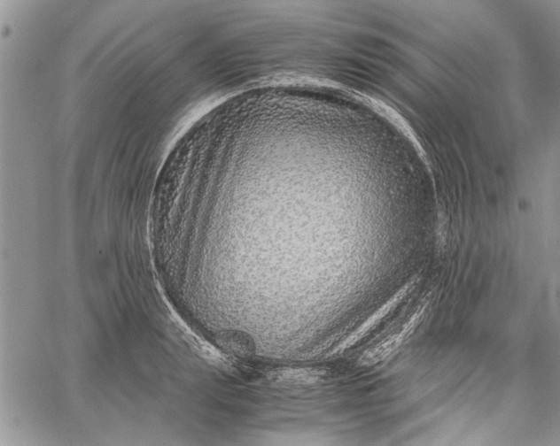 X0000062650847200601040916